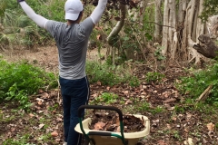 2018 Beach Clean Up and Trail Building (5)