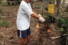 2018 Beach Clean Up and Trail Building (6)