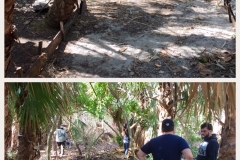 2018 Beach Clean Up and Trail Building (8)
